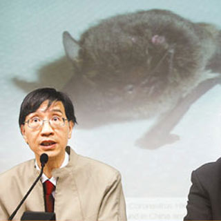 香港资讯：新冠状病毒基因似港蝙蝠病毒