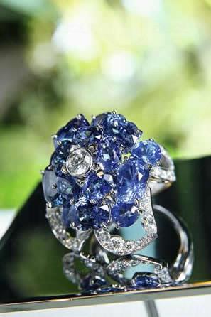名為 Chanel Camelia 的戒指，單是藍寶石就重 19.5 卡，其餘的還有白金和鑽石，最難得的是珍貴的藍寶石是來自與世隔絕的馬達加斯加島。
