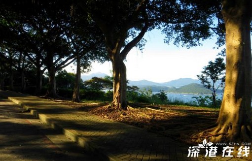 香港牛尾海半岛最新景点图片欣赏