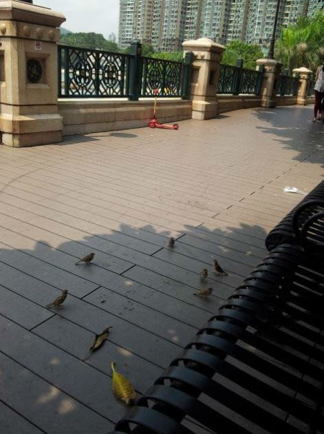 香港自由行攻略:HK两日游,扫货、亲子教育两不