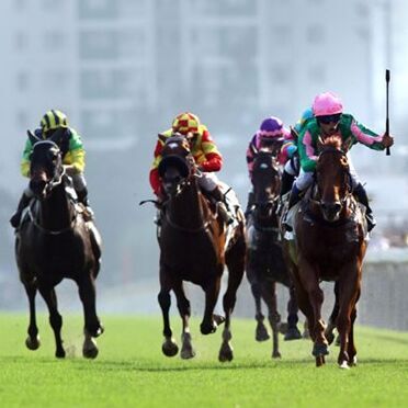 游香港，你不能错过的国庆赛马日