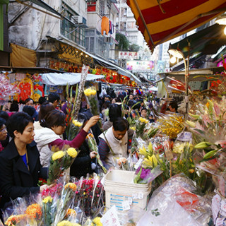 农历新年香港花市旺：桃花或加价 兰花最便宜