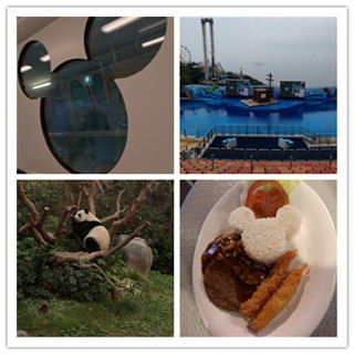 香港自由行攻略：HK中转的两日欢乐之旅分享（迪士尼乐园、如心海景酒店、海洋公园）