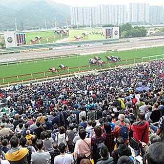香港农历新年赛马日丁财两旺 投注总额逾17亿港元创新高
