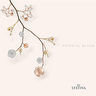 香港购物：J.ESTINA放大招--“花心”女人最好命