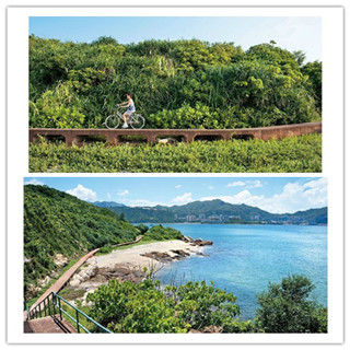 单车游坪洲，感受繁华之外的慢时光