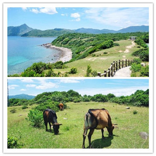 香港旅行：在塔门岛感受简单而美丽的香港！