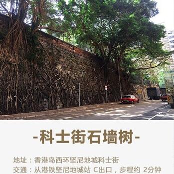 香港旅行：特色街区漫步西环（图集）