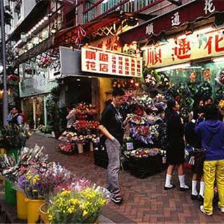 香港旅行：花墟——邮票中新旧并融的香港购物街