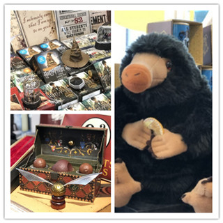 香港旅行：铜锣湾神秘楼上铺“麻瓜”也无任欢迎哦~！