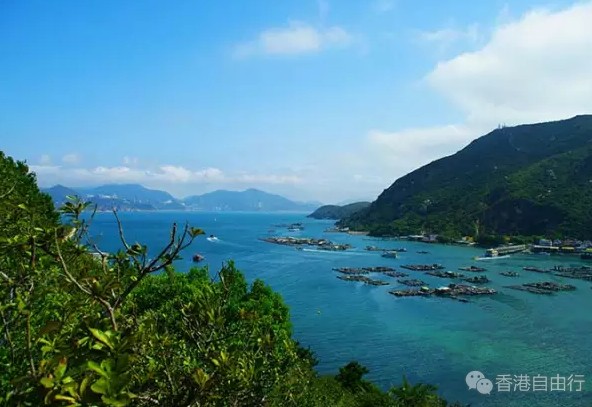 到九龙塘,然后转到油塘站(a2出口)下,去到东龙洲的码头—三家村码头