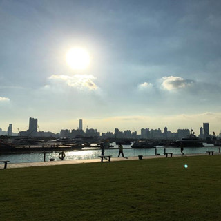 ﻿维港海滨发展既“贴地”又要“乐水”