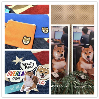 香港旅行：又乖又萌的柴犬店长P仔坐镇精品专卖店啦！