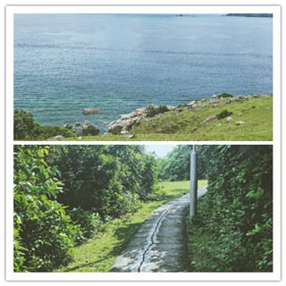 香港旅行：阳光正好，来塔门岛一起感受芳草如碧丝吧！