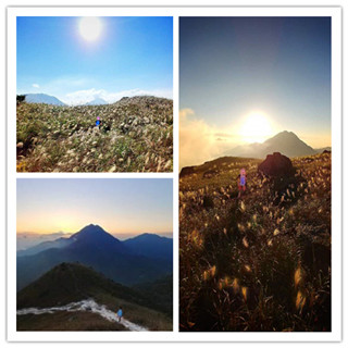 香港旅行：打卡新行山路线——大东山年度盛事芒草季！