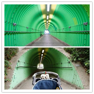 香港自由行：打卡区内单车径的热门景点元朗绿色神秘时光隧道！