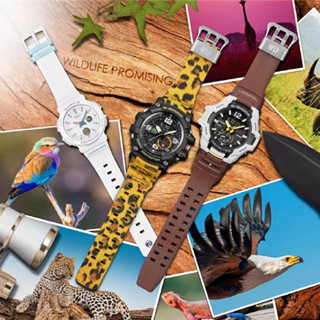 香港购物：卡西欧与“野生动植物推广”合作推出了G-SHOCK和BABY-G防震手表（附地址）