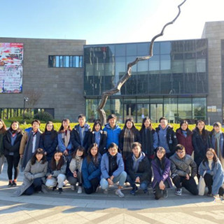 以艺术连接两地 澳门青年打造当地首个青年疫情艺术展览