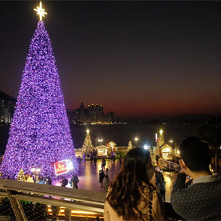 缤纷冬日巡礼移师西九 巨型圣诞树亮灯