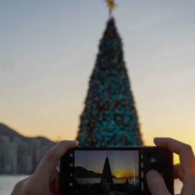 打卡西九海滨巨型圣诞树 日落时分别有风味