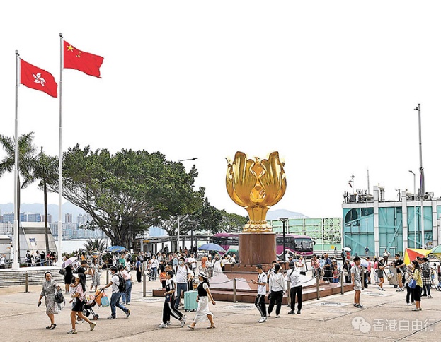 QQ20250206-190726.png