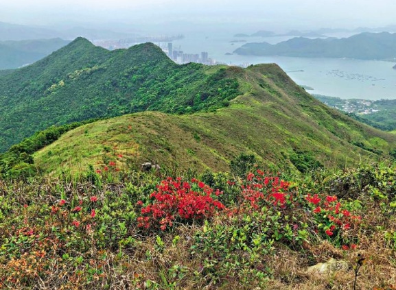 发现北都 生态篇/议员倡善用红花岭梧桐山独特资源 文旅新宝地 打造一体化生态游