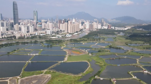 预算案｜优先为北都区投入资源 2跨境铁路线年内规划