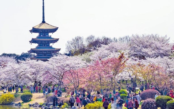 逾90%旅客想参加内地高铁游