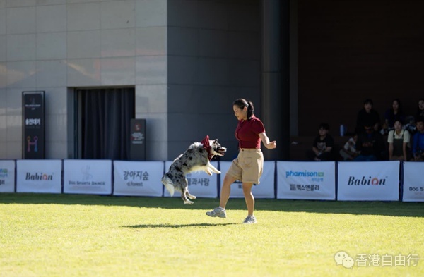 全港首届人宠时装展「PET-SION 2025」本周开幕