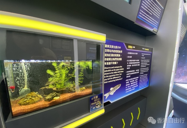 香港太空馆「航向太空」展明日开放 全方位揭秘中国载人航天 香港太空馆「航向太空」展明日开放 全方位揭秘中国载人航天