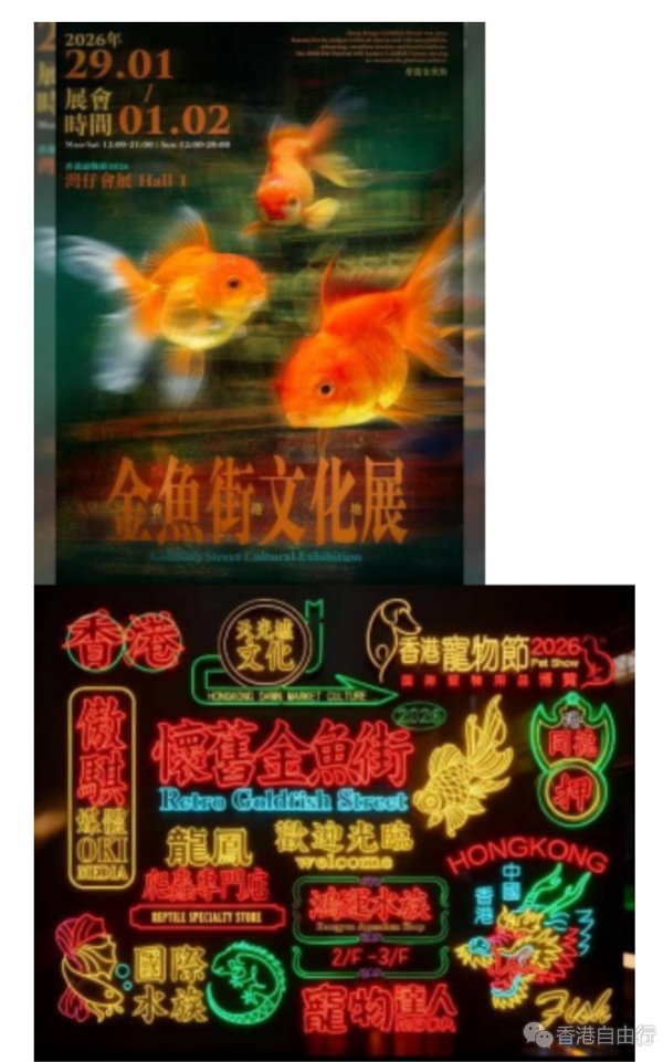 香港宠物节2026 | 首度联乘故宫博物馆 推法老猫文创产品