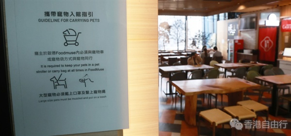香港拟修例：狗狗年中有望进餐厅！这些细节要注意