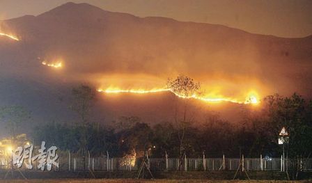 香港山火焚烧44小时终扑灭 山林变焦土损失惨重