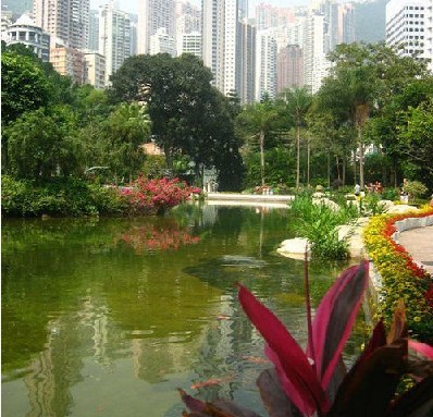 不可不去的香港公园