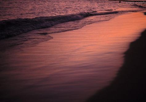 盛夏旅游新花样 感受香港仲夏夜之梦