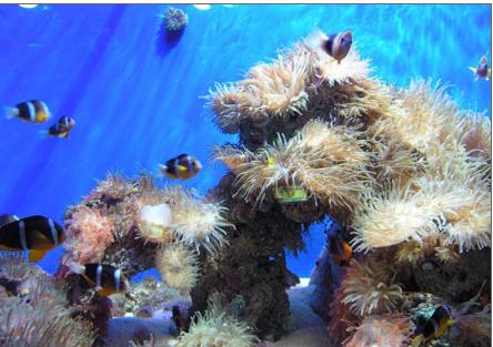 香港十大旅游景点