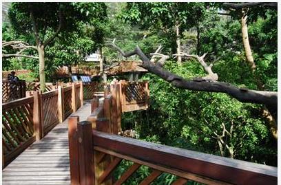 找寻惊喜 45个香港独家景点攻略