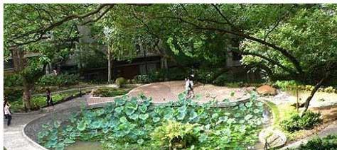 游香港大学 享浪漫校园之旅