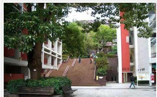 游香港大学 享浪漫校园之旅