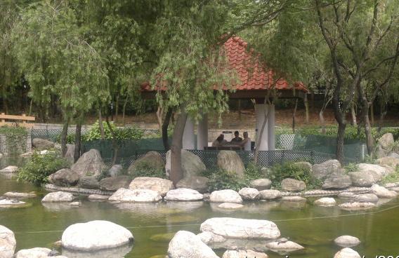 乘港铁逛香港—柴湾